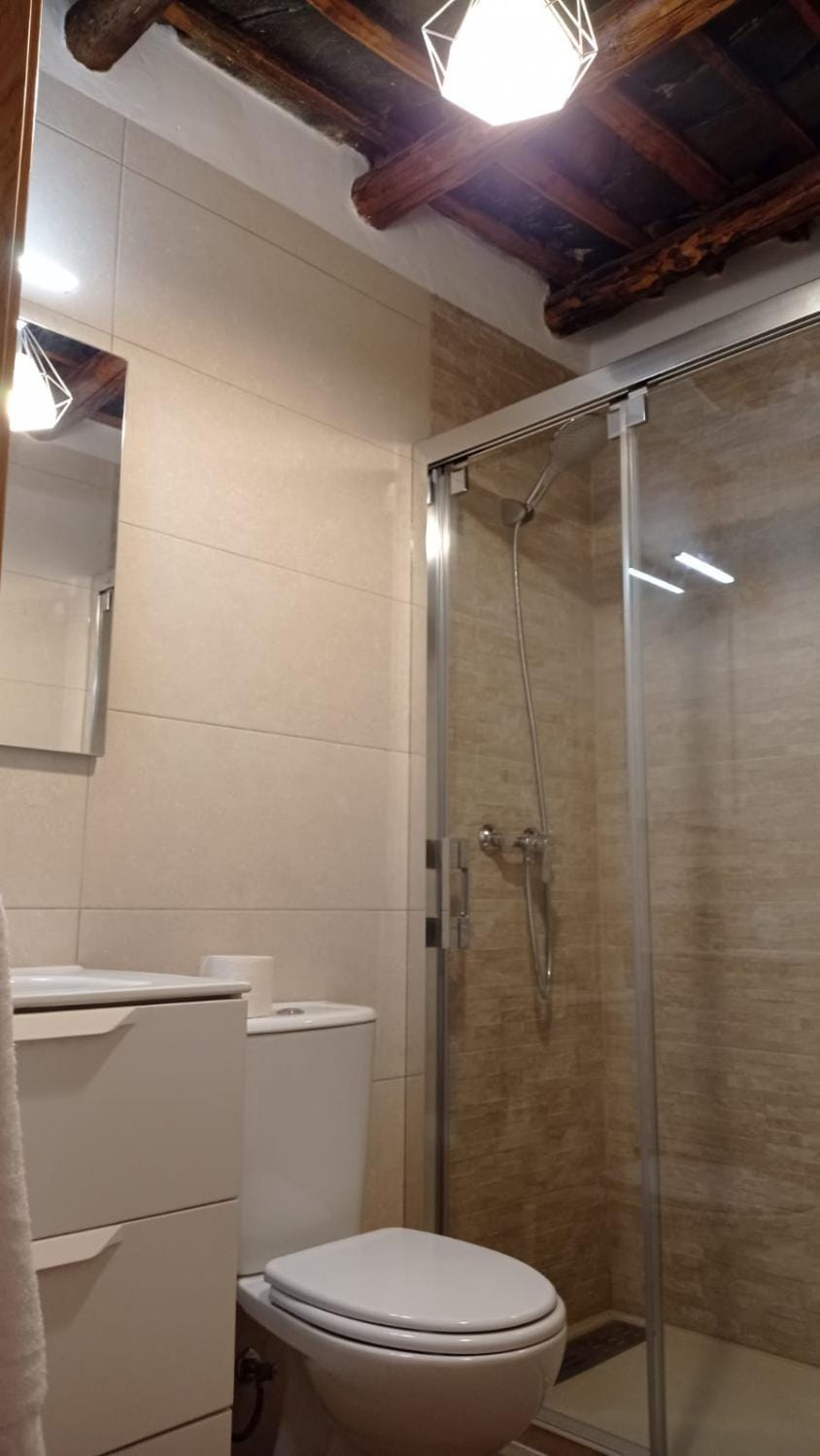 Shower, Toilet, Bathroom