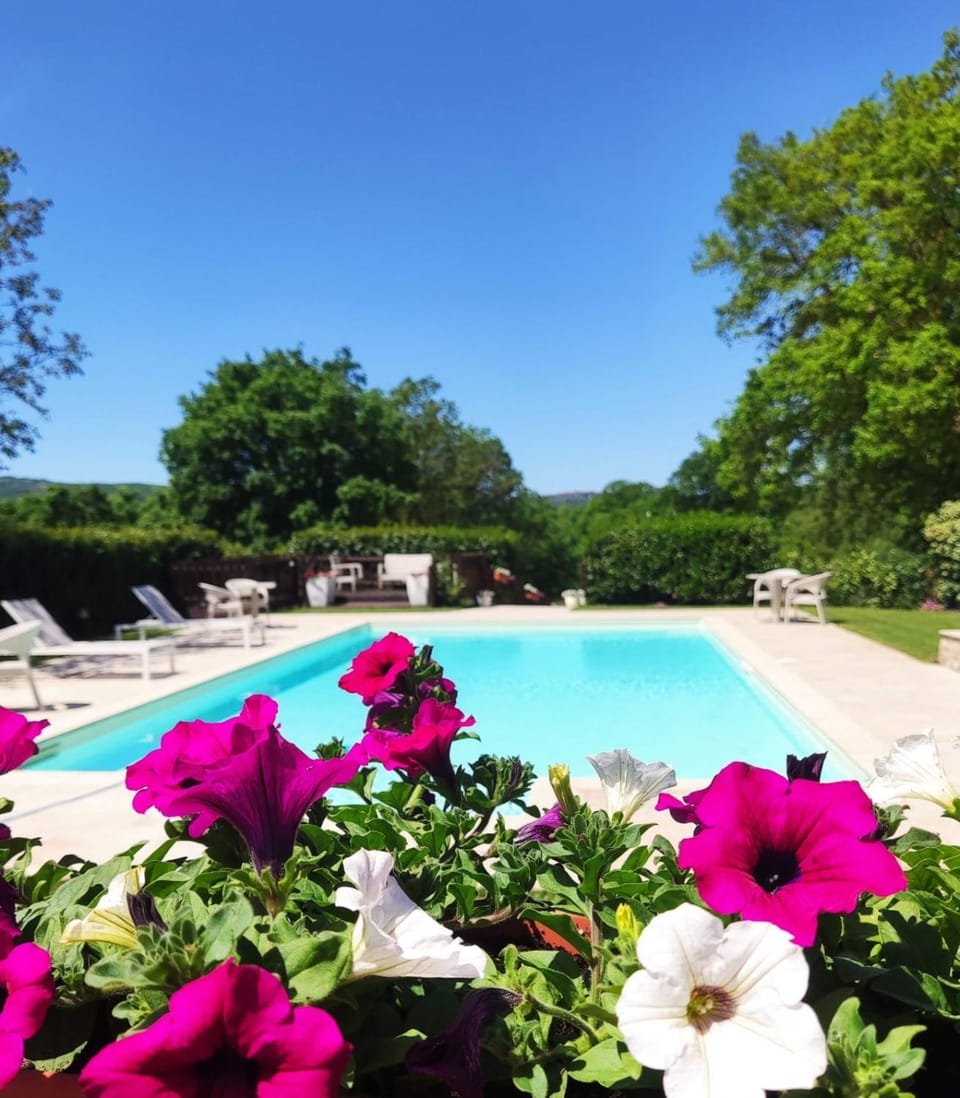 Day, Natural landscape, Garden, Garden view, Pool view, Swimming pool, sunbed