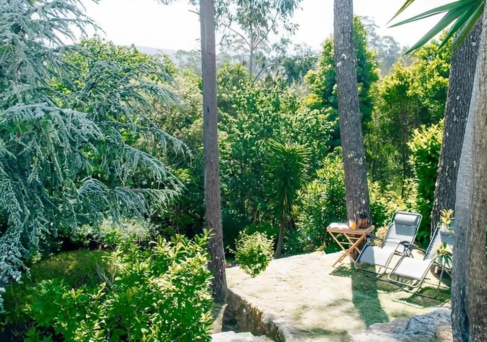 Day, Natural landscape, Garden, Garden view