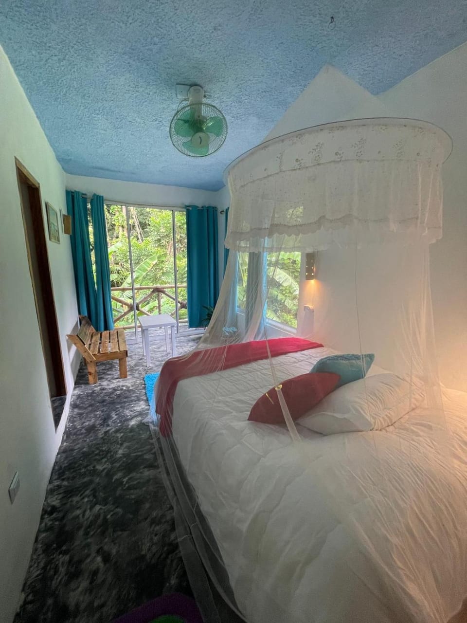 Photo of the whole room