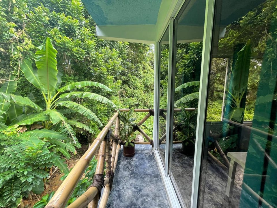 Balcony/Terrace, Garden view