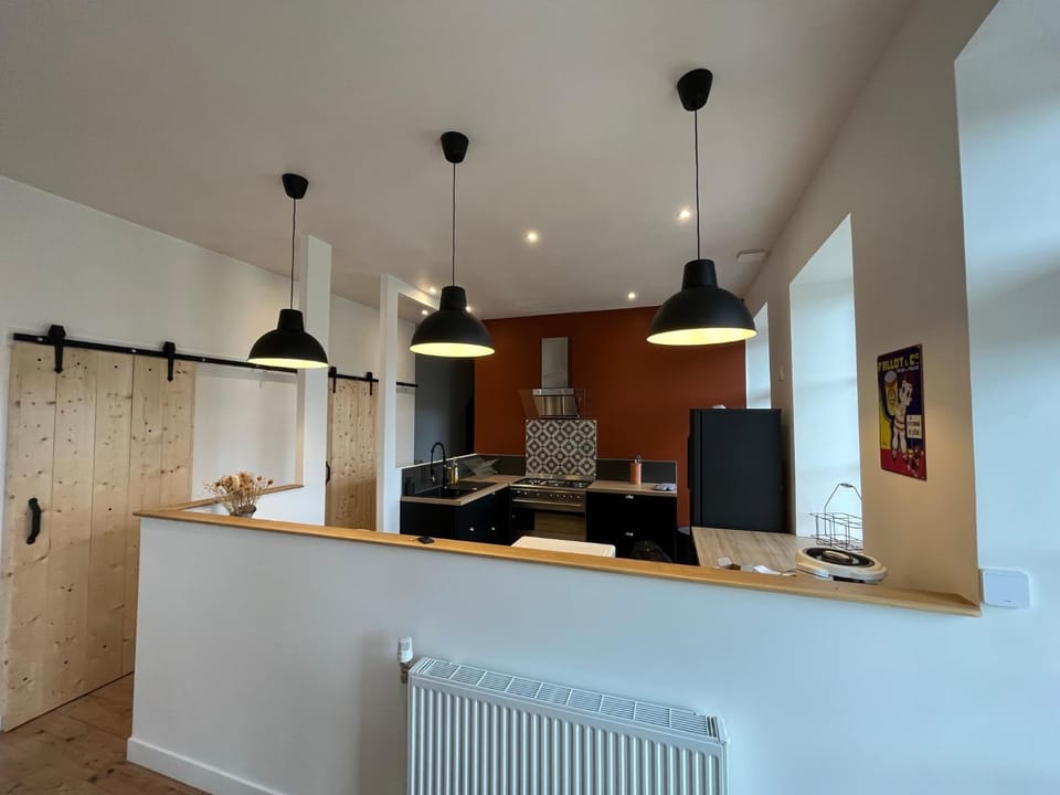 Kitchen or kitchenette, minibar, pet friendly, stove