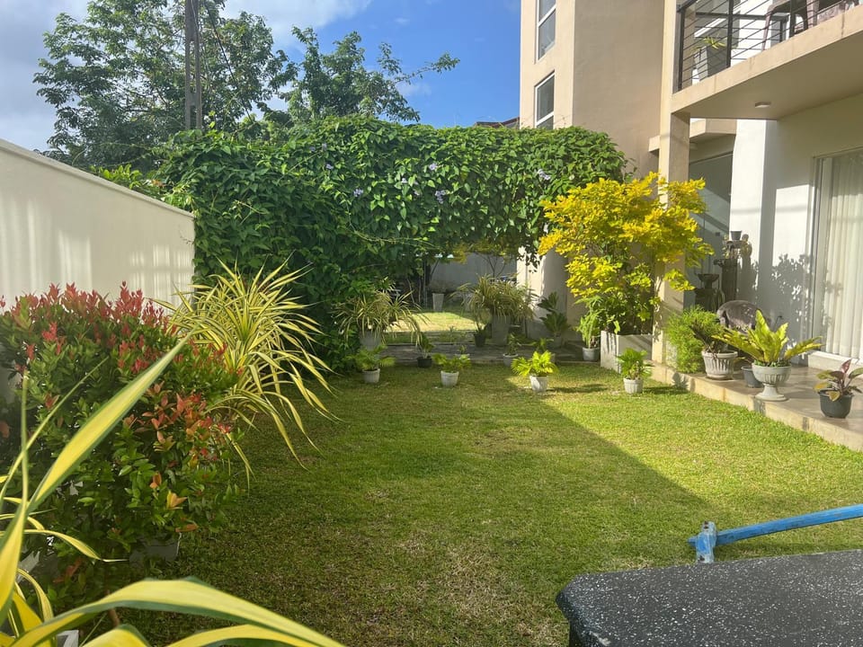 Property building, Garden, Garden view