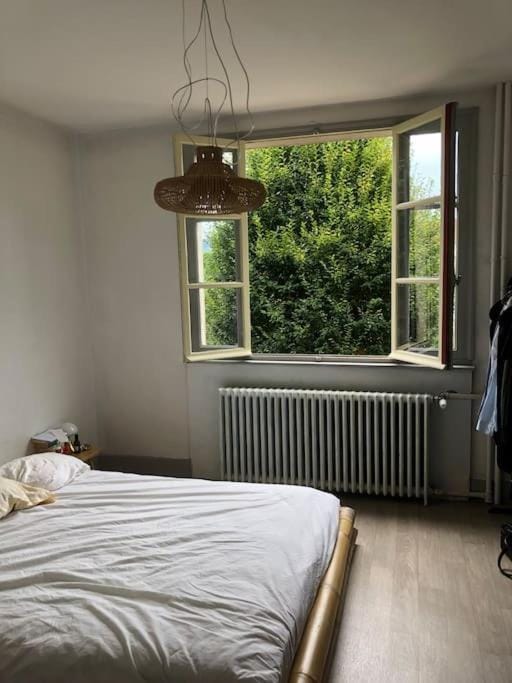 Grand appartement avec jardin chez Villa Eva Apartment in Besançon