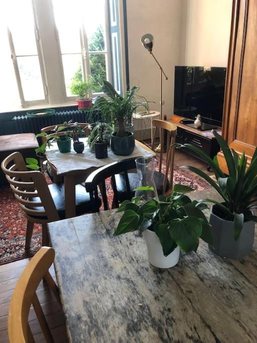 Grand appartement avec jardin chez Villa Eva Apartment in Besançon