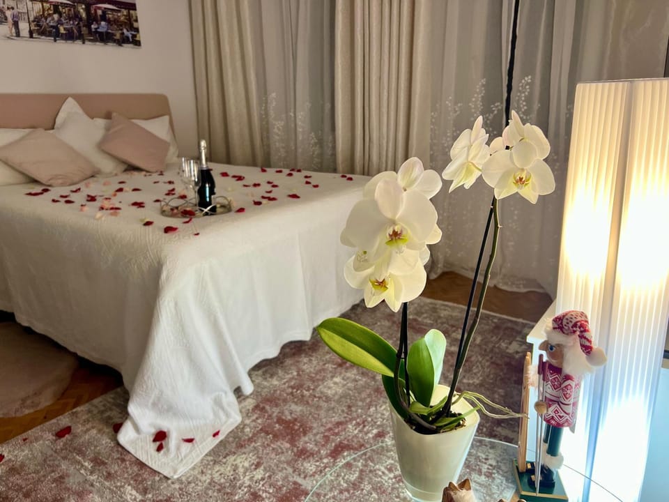 Louis & Elza Old Town Romantic apartments Apartment in Wroclaw