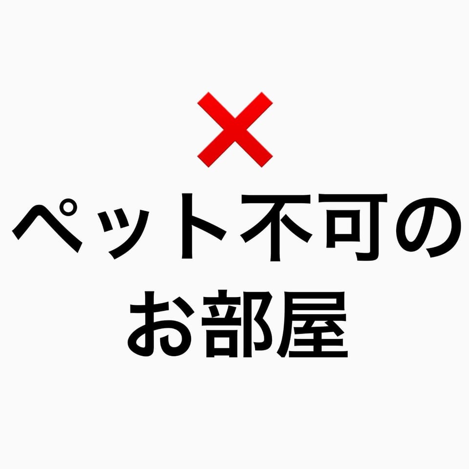 Text overlay