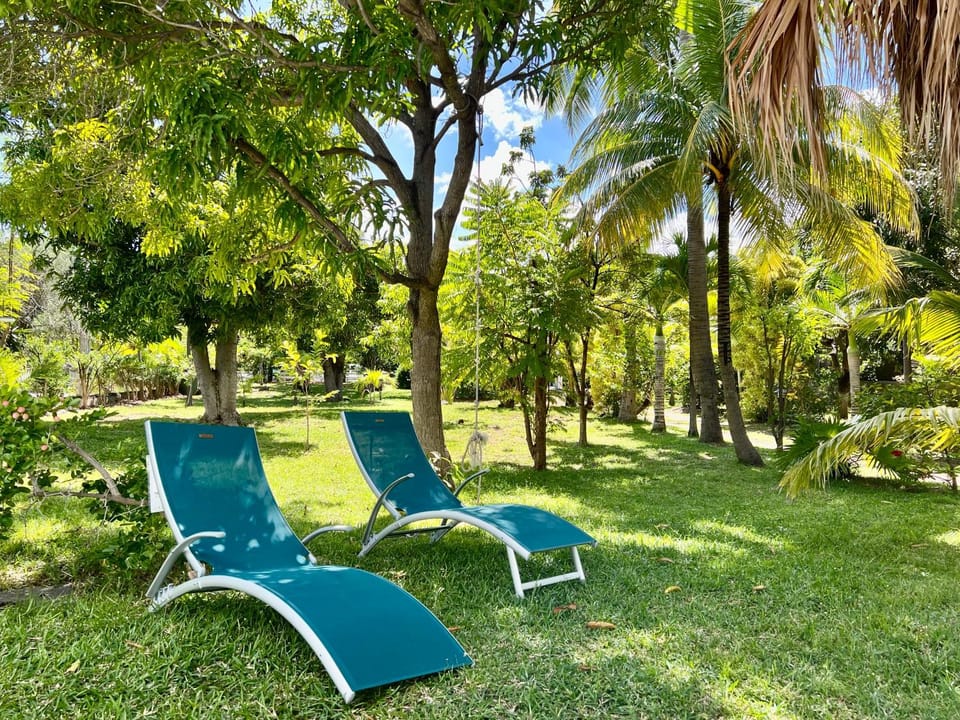 Garden, sunbed