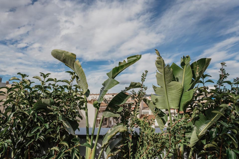 Petit Luxe Volta ÀTIC Apartment in Terrassa