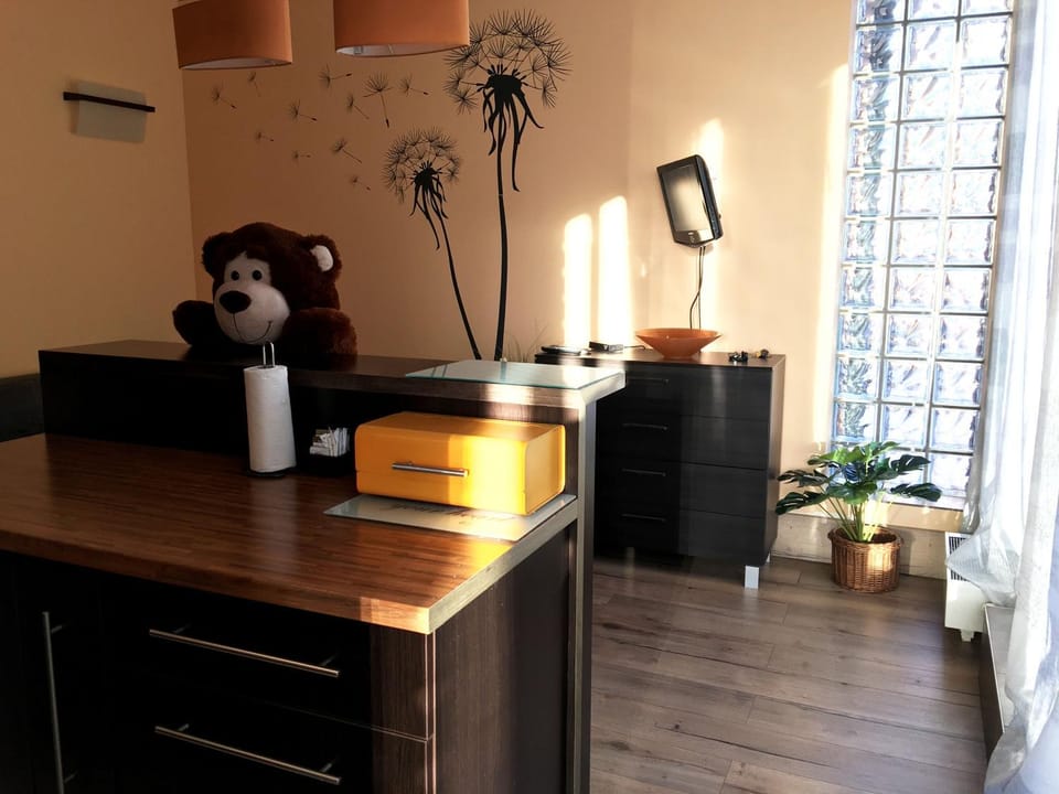Apartament Przytulny ZETA-PARK Apartment in Czechia