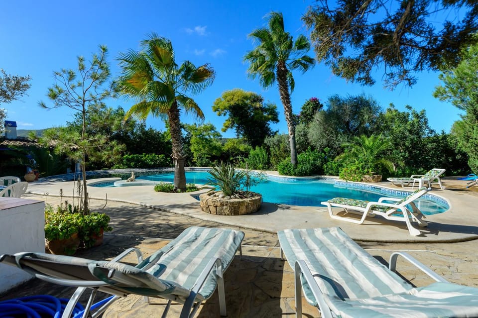 Day, Pool view, Swimming pool, sunbed
