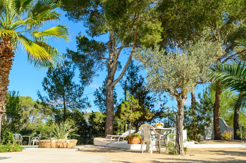 Garden, Garden view