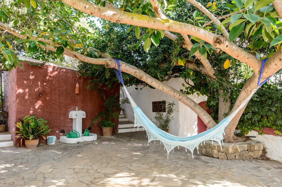 Patio, Garden