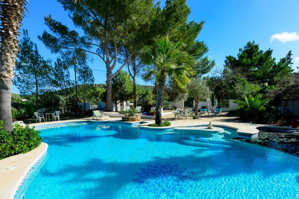 Garden, Garden view, Swimming pool, sunbed
