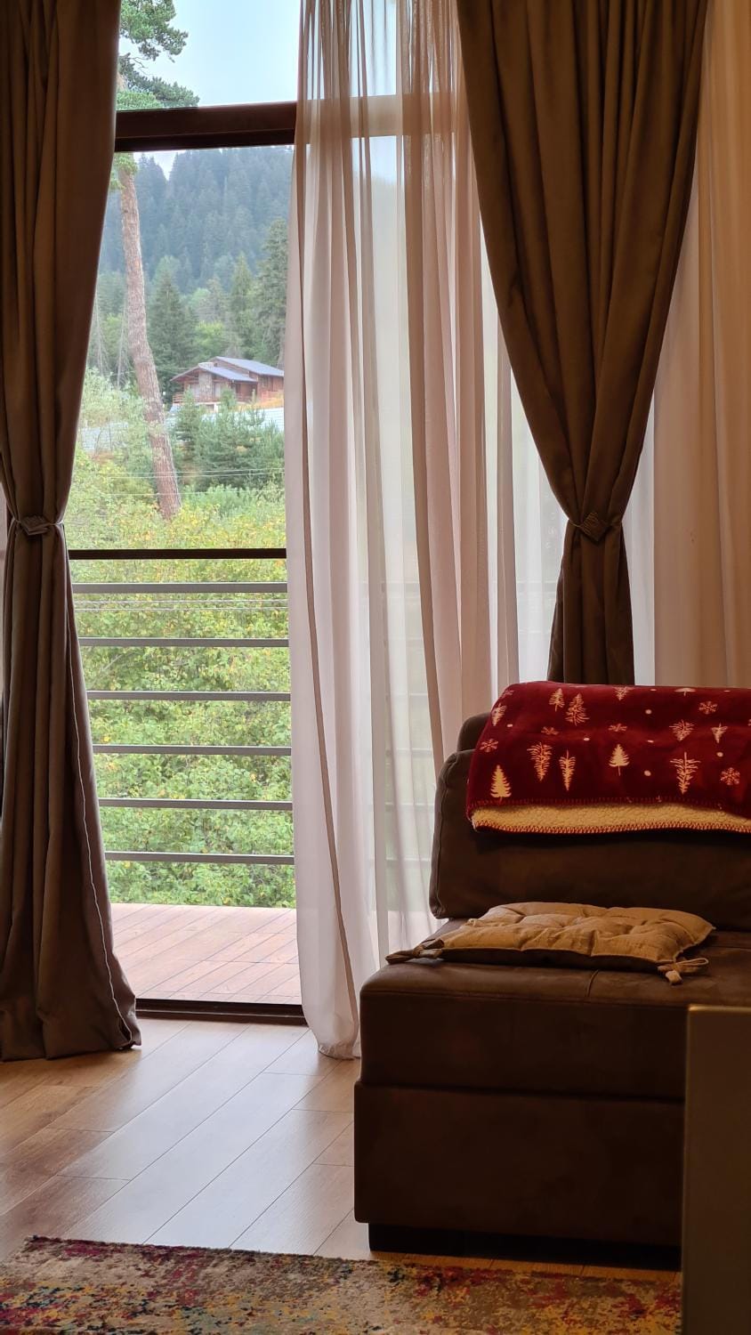 Living room, Seating area, Garden view