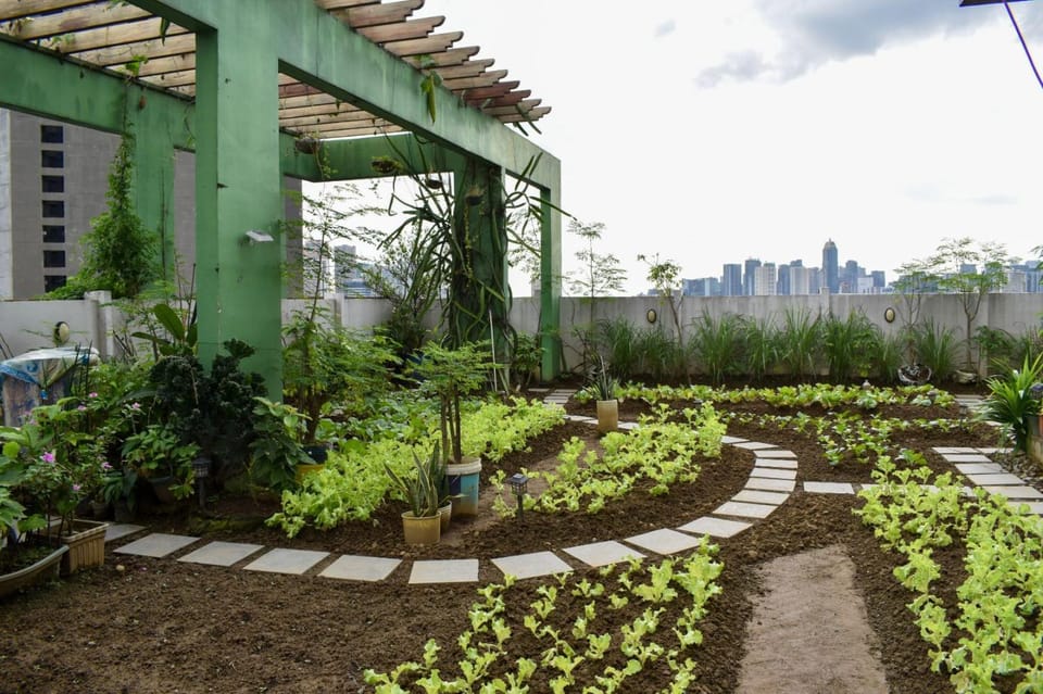 Property building, Garden view