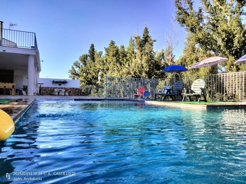 Day, Pool view, Swimming pool, sunbed