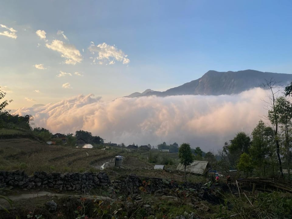 Natural landscape