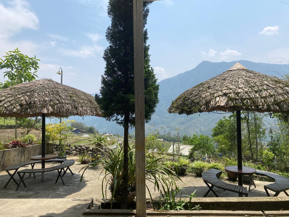 Garden, Garden view, Mountain view, sunbed