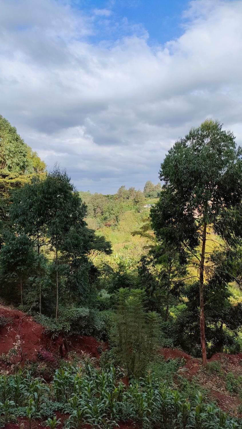Natural landscape