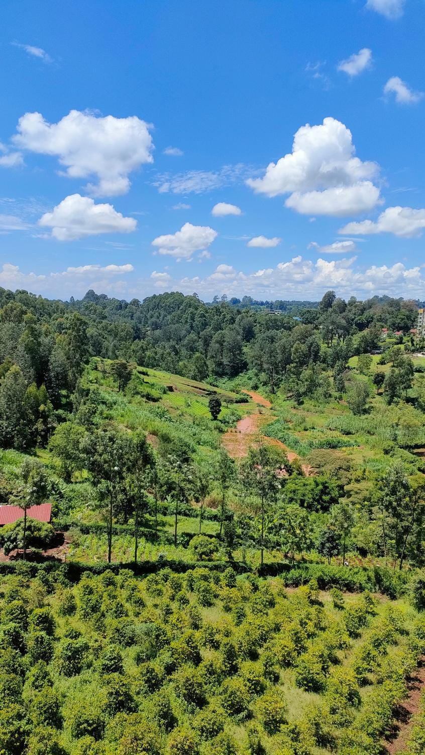 Natural landscape