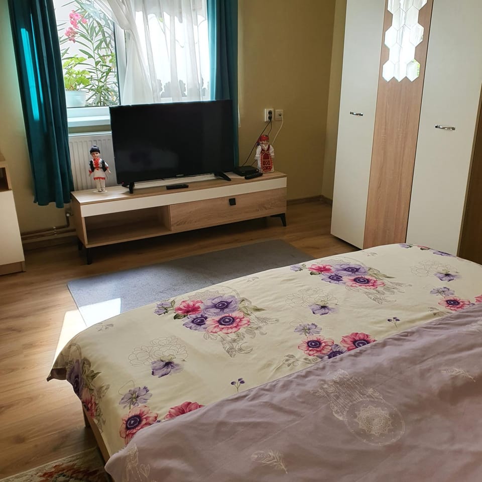 Carissa House Apartment in Brasov