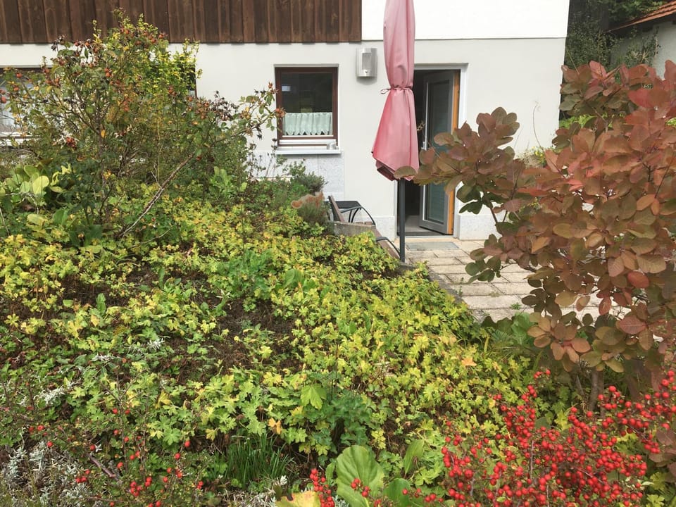 Ferienwohnungen Fuchssteige Apartment in Baden-Württemberg