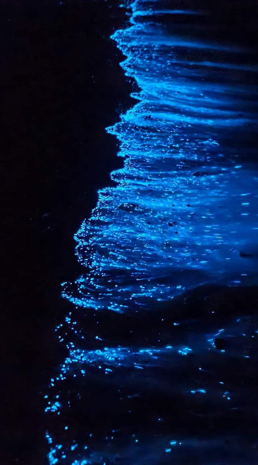 Night, Natural landscape, Beach