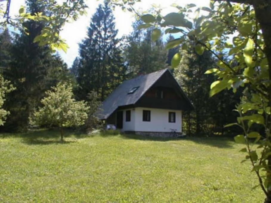 Property building, Garden
