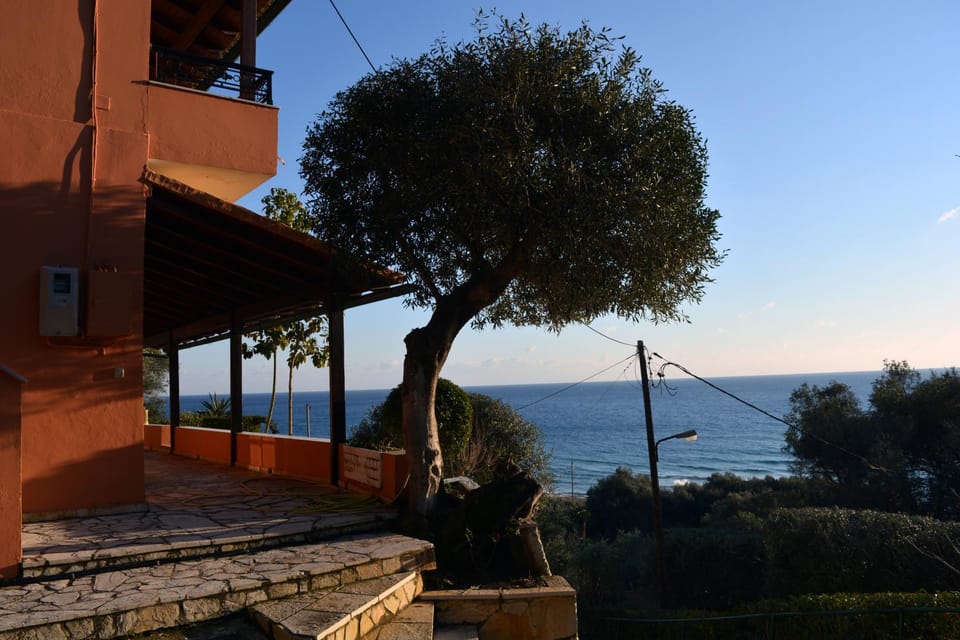 Property building, Garden view