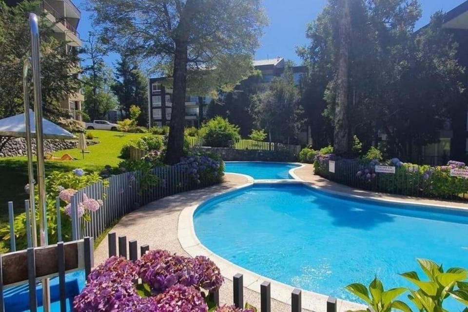 Comodo departamento 1 D 1B Apartment in Pucon
