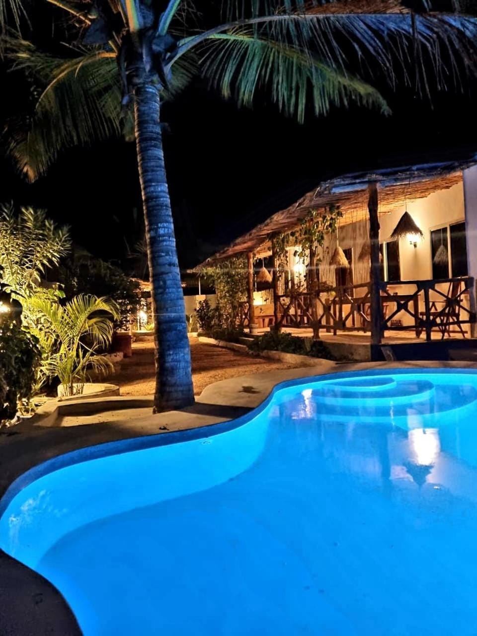 Night, Pool view, Swimming pool