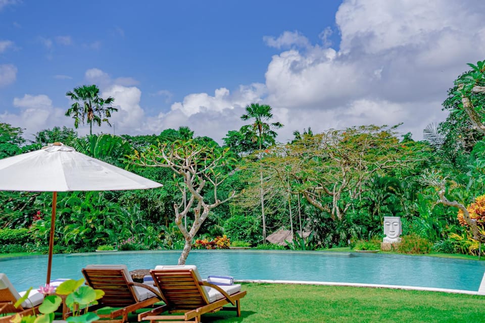Pool view, Swimming pool