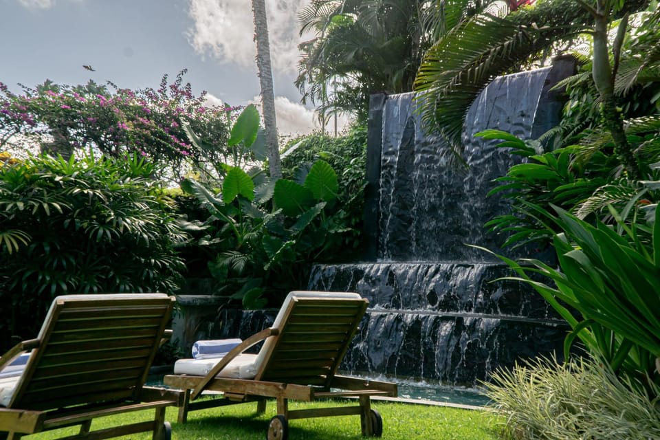 Day, Natural landscape, Garden view, sunbed