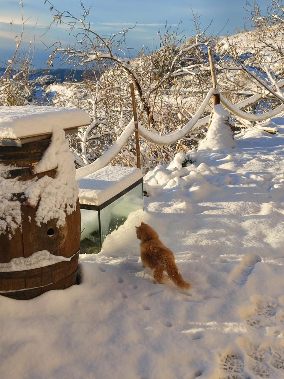 Winter