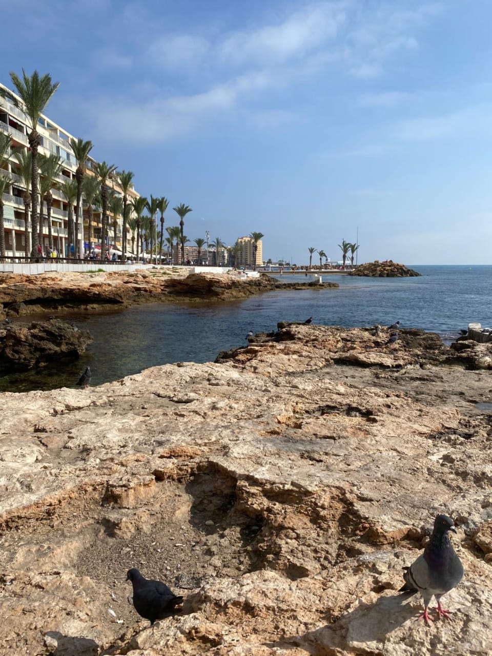 Piso del Mar Azul Torrevieja Apartment in Torrevieja