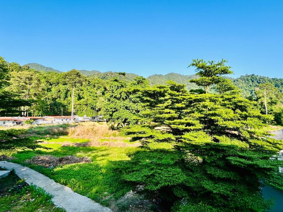 Natural landscape