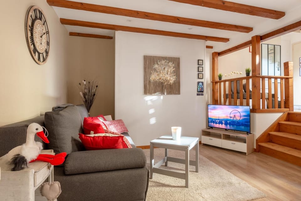 Travel Homes - Tanneur 3, just next to Little Venice Apartment in Colmar