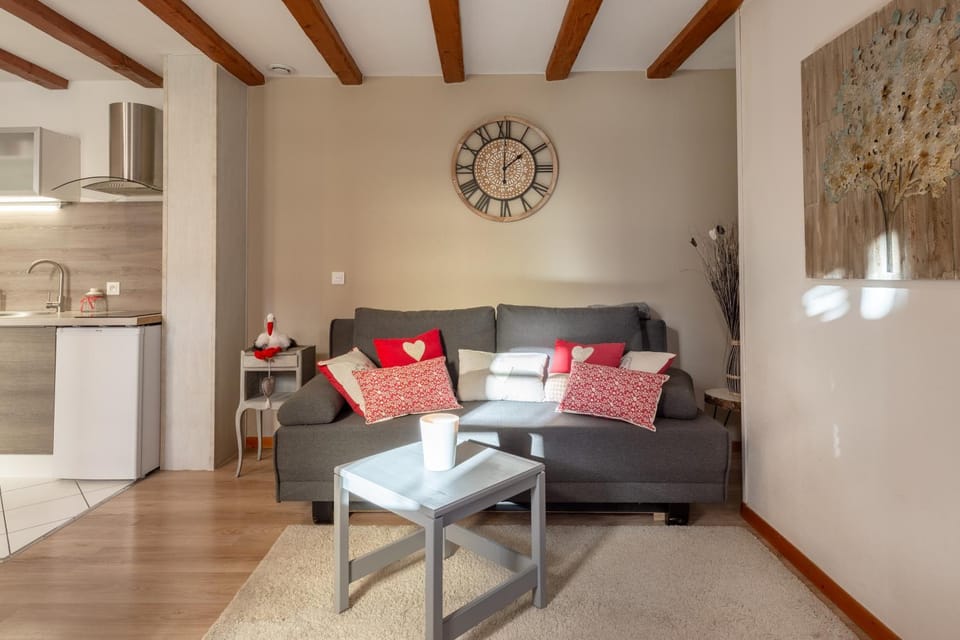 Travel Homes - Tanneur 3, just next to Little Venice Apartment in Colmar