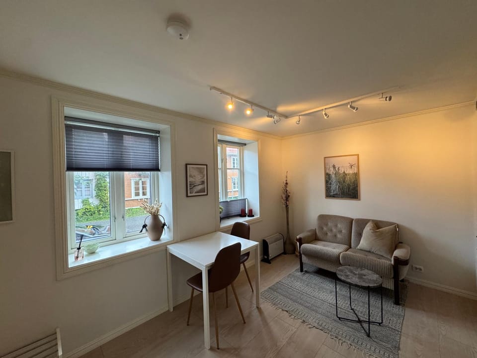 Cosy 2-rooms apartment in the city center Apartment in Tromso