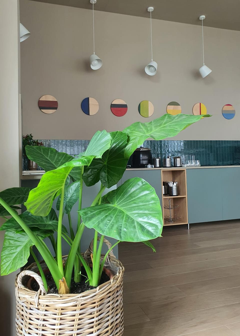 Restaurant/places to eat, Kitchen or kitchenette