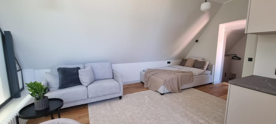 Communal lounge/ TV room, Bed, Photo of the whole room, Seating area