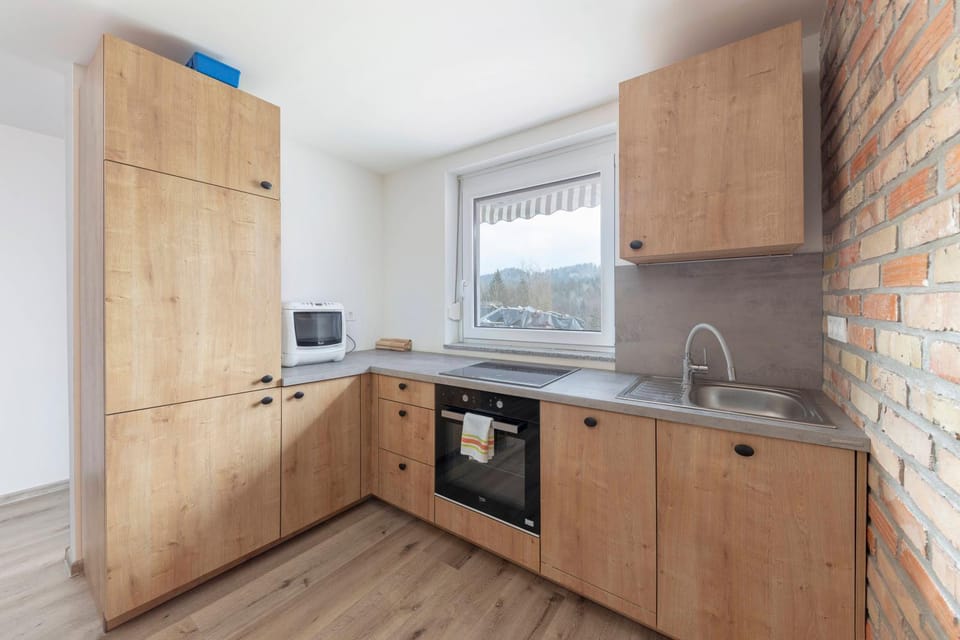 Kitchen or kitchenette, minibar, pet friendly, stove