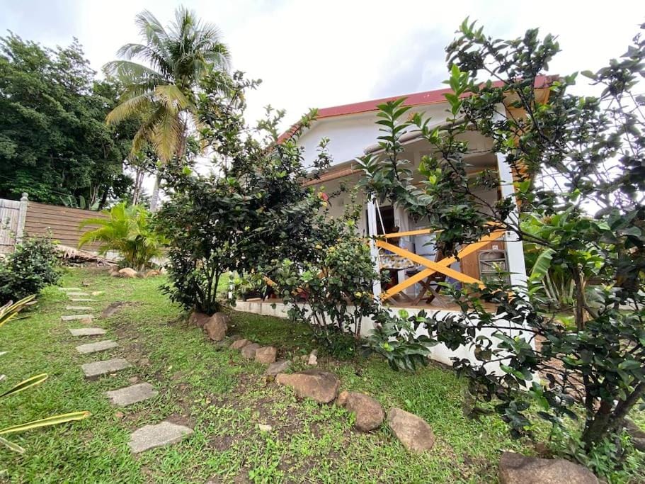 Garden, Garden view