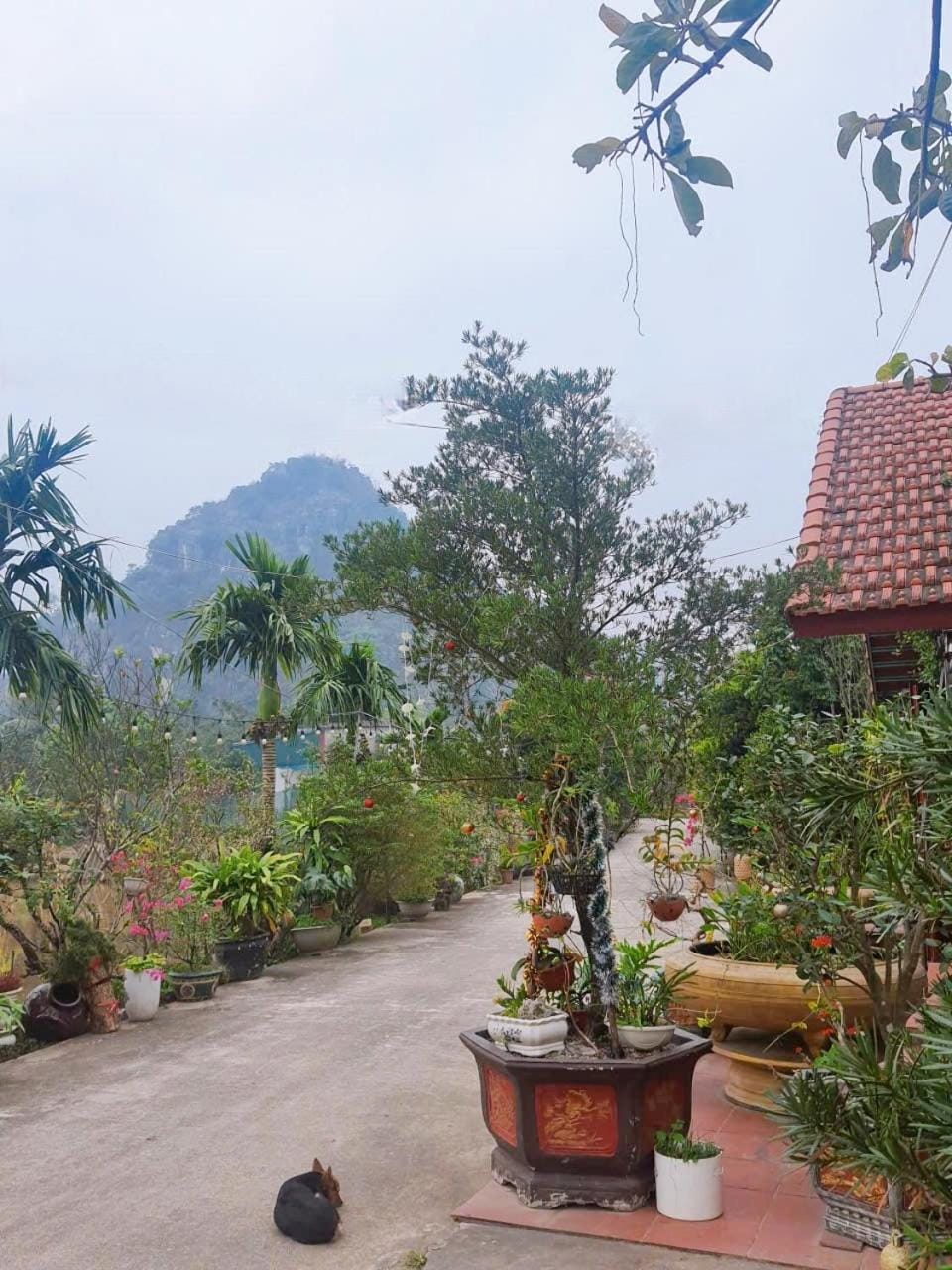Ninh Binh Green Farmstay Apartment in Vietnam