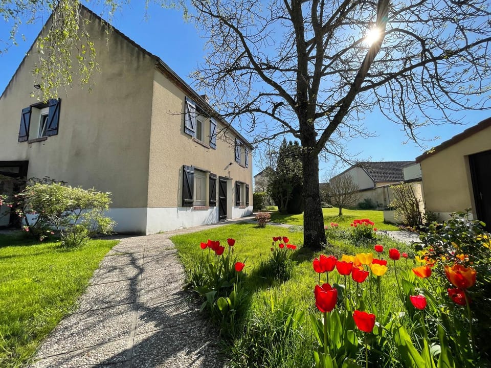 Garden, Garden view, Garden view