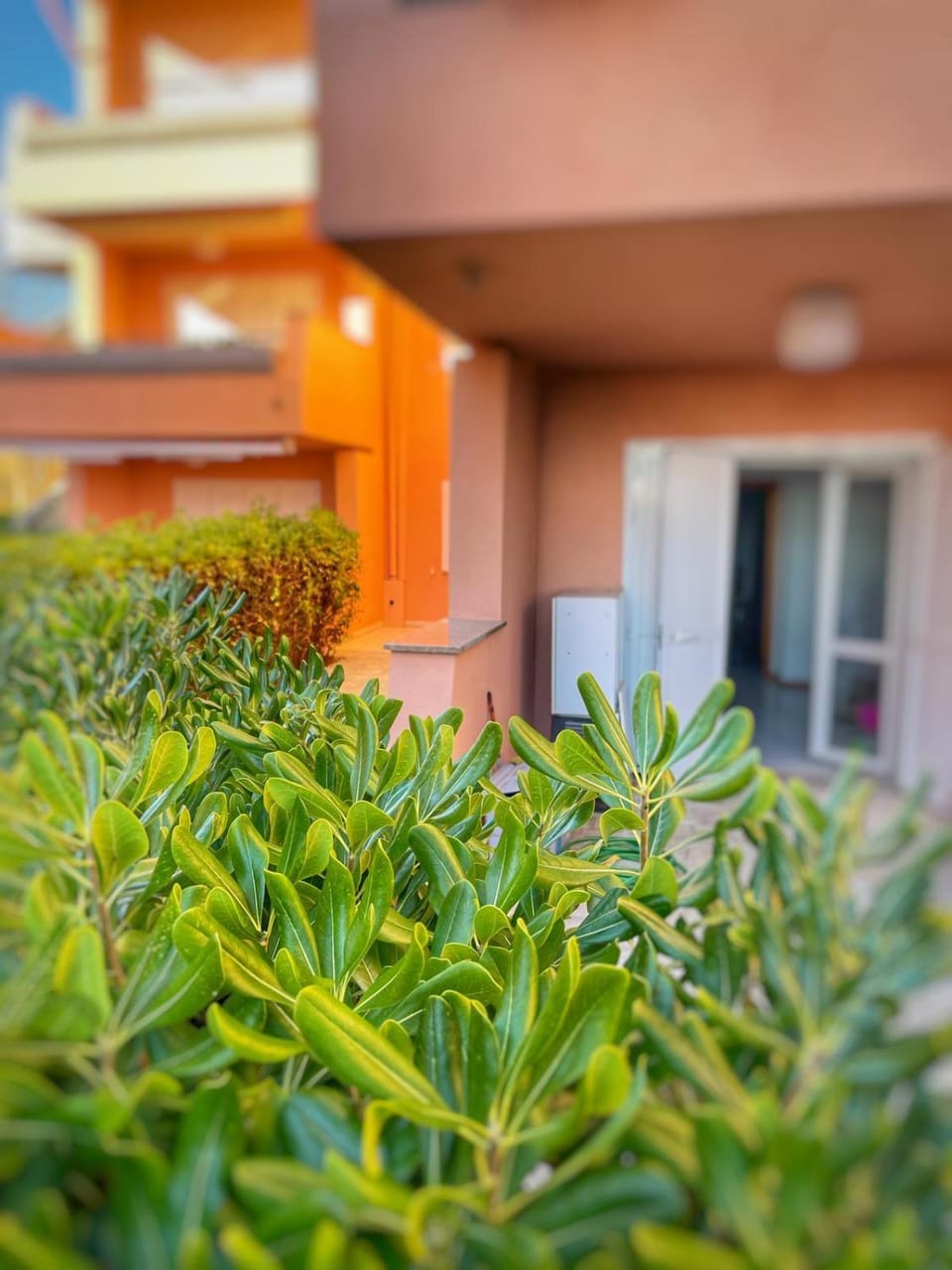 Property building, Day, Garden, Garden view