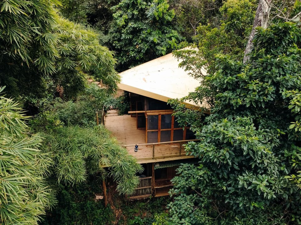 Property building, Natural landscape, Garden view