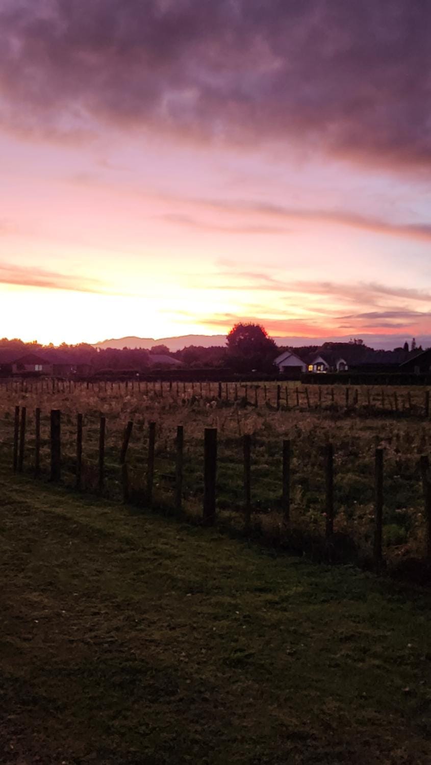 Aberdeen Cottage with Hobbit House sleep-out House in Waikato