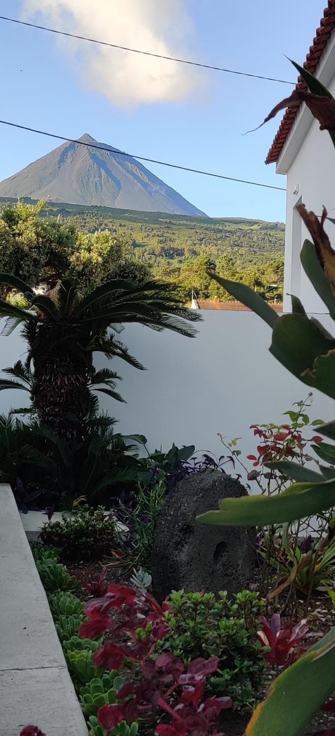 Nearby landmark, Day, Natural landscape, Garden, Mountain view